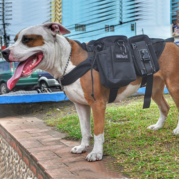 OneTigris Army Military Service Dog Vest Harness Molle Tactical Dogs Accessories Let The Dog Travel With You!